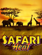 แทง บอล 3 คู่ ได้ เท่าไร: รีวิวการเดิมพัน