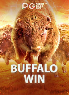 วิธีสมัคร แทง บอล ออนไลน์ sbobet สำหรับมือใหม่